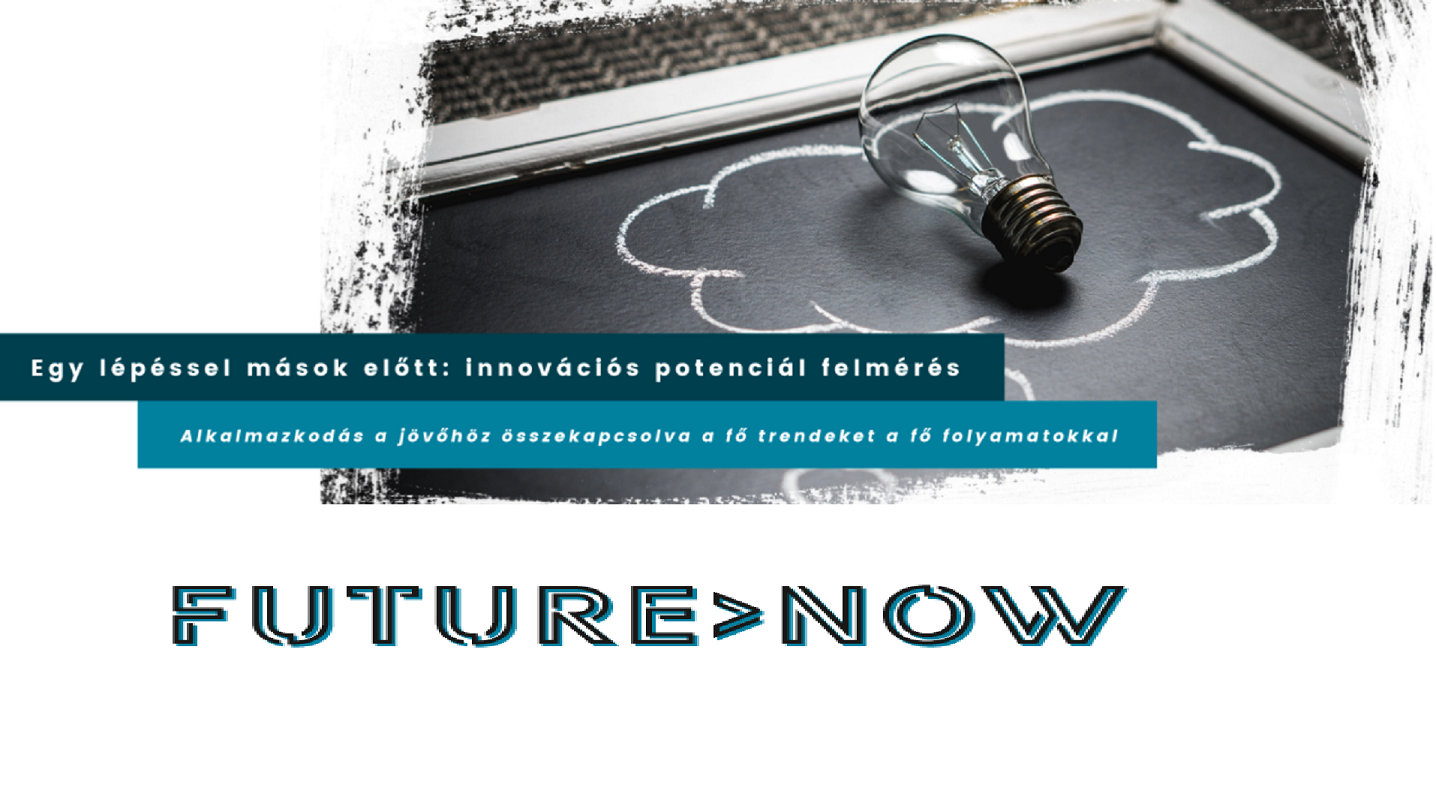INNOVÁCIÓ ÉS ÖKOSZISZTÉMÁK ; Future-Now Consulting Kft.; https://future-now.hu ; info@future-now.hu